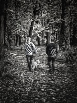 A Walk in the Woods.jpg