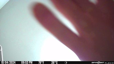 PICT0001.JPG