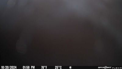 PICT0295.JPG