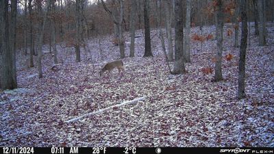 PICT1143.JPG