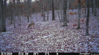 PICT1144.JPG