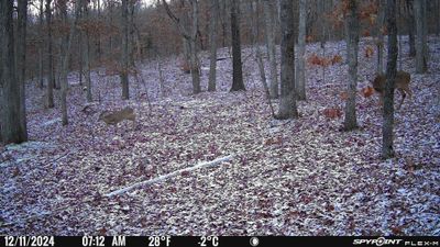 PICT1145.JPG