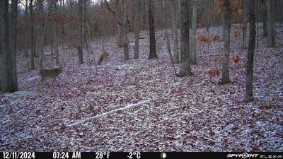 PICT1151.JPG
