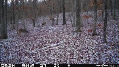PICT1152.JPG