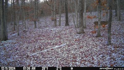 PICT1158.JPG