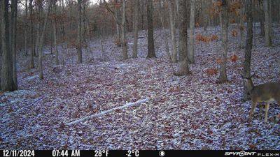 PICT1159.JPG