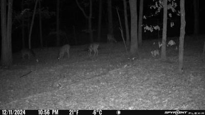 PICT1171.JPG