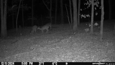 PICT1173.JPG
