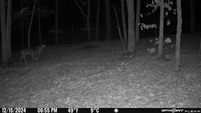 PICT1221.JPG