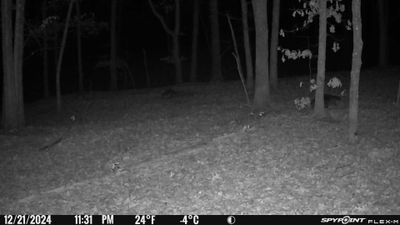 PICT1271.JPG