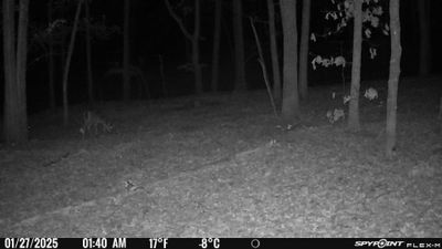 PICT1312.JPG