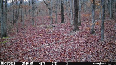 PICT1402.JPG