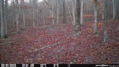PICT1422.JPG