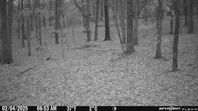 PICT1541.JPG