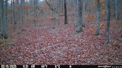 PICT1701.JPG