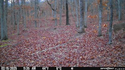 PICT1714.JPG