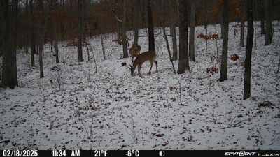 PICT1737.JPG