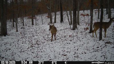 PICT1739.JPG