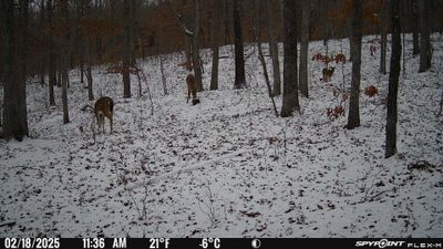 PICT1741.JPG