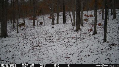 PICT1743.JPG