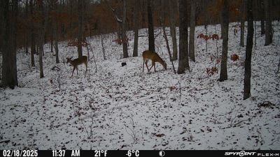 PICT1744.JPG