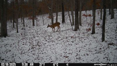 PICT1745.JPG