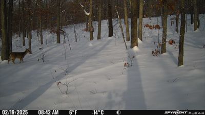 PICT1746.JPG