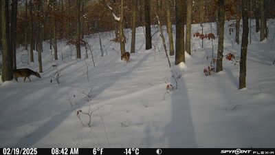 PICT1747.JPG