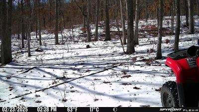 PICT1785.JPG