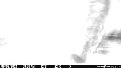 PICT0027.JPG