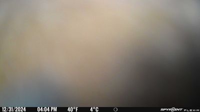 PICT0995.JPG