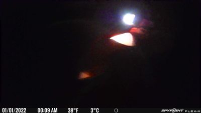 PICT0009.JPG