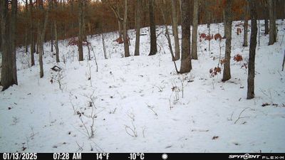 PICT0089.JPG