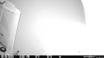 PICT0001.JPG
