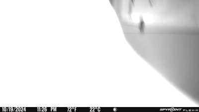 PICT0008.JPG