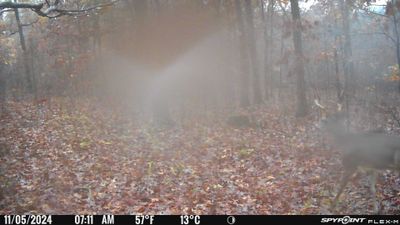 PICT0078.JPG