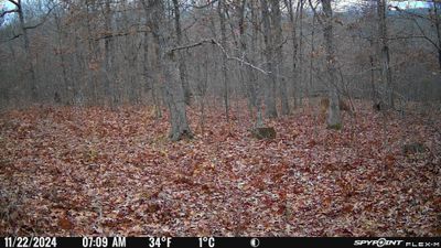 PICT0171.JPG