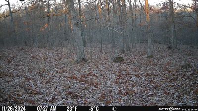 PICT0192.JPG