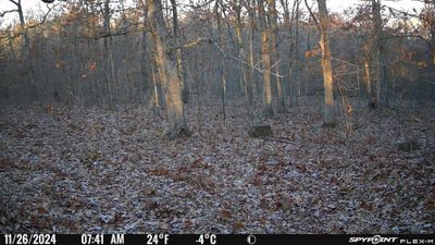 PICT0193.JPG