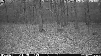 PICT0201.JPG