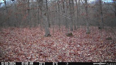 PICT0241.JPG