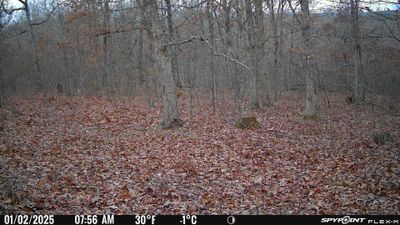 PICT0421.JPG