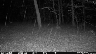 PICT1011.JPG