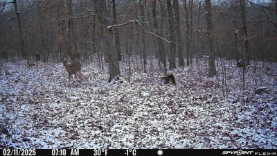 PICT1070.JPG