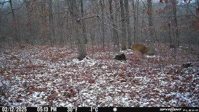 PICT1121.JPG