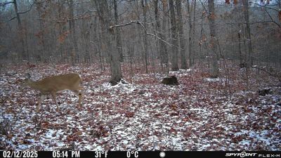 PICT1122.JPG