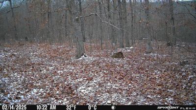 PICT1173.JPG