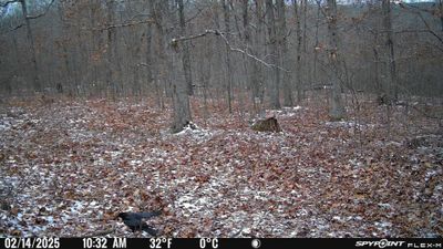 PICT1174.JPG