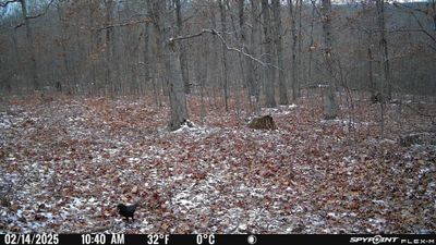 PICT1175.JPG