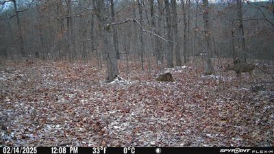 PICT1176.JPG
